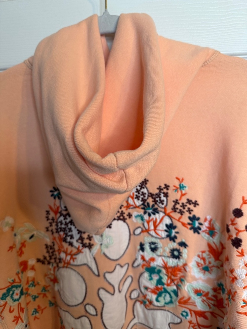 Free People  At My Best Embroidered Peach Embroidered Sleeve Hoodie - Women - Picture 6 of 9